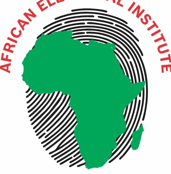 2024 Elections: African Electoral Institute’s 15 Crucial Recommendations to Remember on Election Day